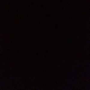 Meet your Posher, Jaden